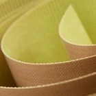 Heat Resistant Glue Teflon Fabric 4
